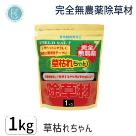 【即納在庫品】4936980520688 除草剤 草枯れちゃん 1 27107 後藤 完全無農薬除草剤 雑貨 除草剤草枯レチャン