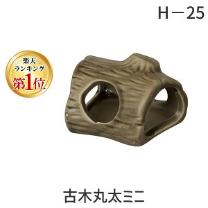 yyVLO1ʊlzXh[ SUDO 4974212300257 H|25 Ö؊ۑ~j