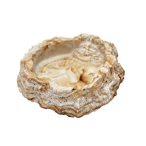 Xh[ SUDO 4974212601453 RX|145 veB{E2 SF