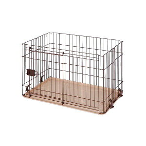 y11/25IIōő100|CgobNzTCY 4906456540458 DP|458 thT[N XChhAM