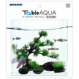 �T�����C�Y 4975637512409 NAP�|504 �e�[�u���A�N�A �v�����c�Z�b�g1