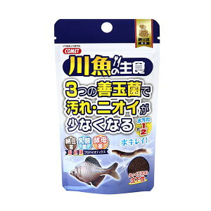 CgXC Rbg 4971453054291 싛̎H [ 40g{10g