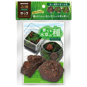 y12/5IIōő100|CgobNzTCY 4975637206087 NAW|183 Ă鐅̎ Xg[gwA[bN