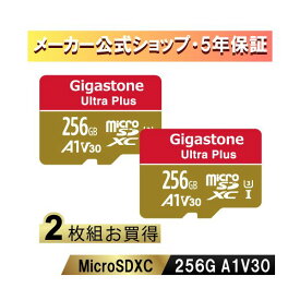 Gigastone GJMXR-256GV3A1100R-2PK Nintendo Switch確認済マイクロSDカード 256GB 2枚セット SDXC microSD microsdカードA1 V30 U3 クラス10 Ultra HD 4K 超高速100MB／s ビデオ録画 一眼レフカメラ スマホ データ保存 Gopro ドローン 5年保証 GJMXR256GV3A1100R2PK