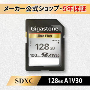 y11/25IIōő100|CgobNzGigastone GJSX-128GV3A1 SDJ[h128GB SDXC A1 V30 UHS|I U3 NX10 100MB^s 4K Ultra HD pbP[W 5Nۏ GJSX
