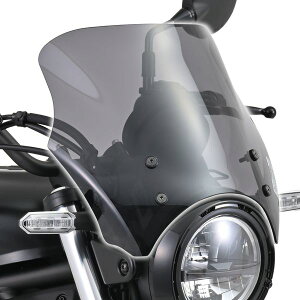 y11/10IIōő100|CgobNzfCgi DAYTONA 42156 oCNp XN[ G~l[^[ 24 p uXgoA[ X[N