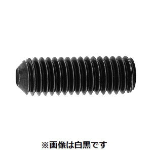 (LINE�N�[�|���L)�y�l��z���s�z�y���F200�zSUNCO 4525824007166 �y200���z ���� ����s�E�����[�J�[�����s�� HS �A���X�R �N�{�~ 12 X 16