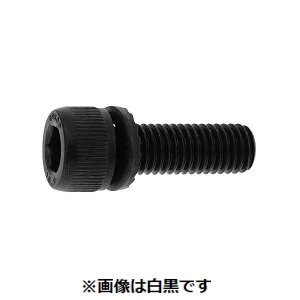 (LINE�N�[�|���L)�y�l��z���s�zSUNCO 4525824015109 �y2500���z ���� ����s�E�����[�J�[�����s�� 10�D9GT�|S CAP 3 X 12