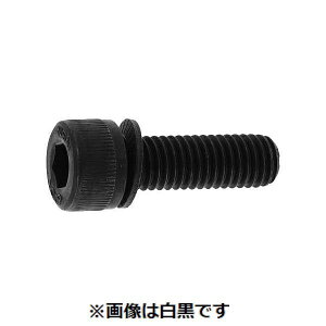 (LINE�N�[�|���L)�y�l��z���s�z�y���F200�zSUNCO 4525824031734 �y200���z ���� ����s�E�����[�J�[�����s�� 10�D9 NH�Z�t�e�B�\�P�b�g 8 X 18