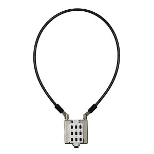 aCY IB-163 σvbV{^ C[^Cv IB163