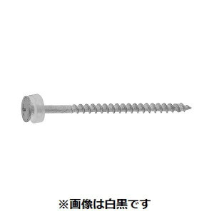 y12/10IIōő100|CgobNzylzszyF100zSUNCO 4525824264903 y100z  sE[J[s Vo[ 410^sbNX p 3D8X65