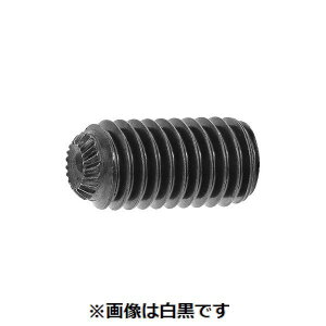 ylzszyF1000zSUNCO 4525824372158 y1000z  sE[J[s HS iKC GS 4 X 4