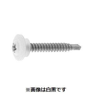 ylzszyF500zSUNCO 4525824467694 y500z  sE[J[s zCg bNX^|hgX 5 X 19