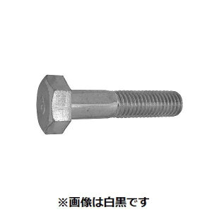 ylzszSUNCO 4525824659600 y14z sE[J[s 8}[NBT lW 16X120