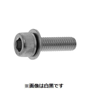 ylzszyF500zSUNCO 4525824960058 y500z  sE[J[s 10D9CAP P1 5 X 8