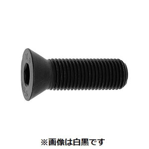 ylzszyF50zSUNCO 4547733049600 y50z  sE[J[s SUSTCAP SlW 10X55X55