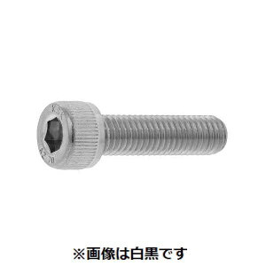 ylzszyF100zSUNCO 4547733115060 y100z  sE[J[s XeCAP ݘacXeX 10 X 25