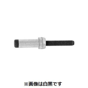 ylzszSUNCO 4547733161784 y85z  sE[J[s nbNBOM X`[ BOM|R10|6