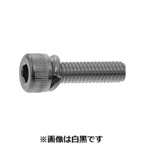 (LINE�N�[�|���L)�y�l��z���s�z�y���F500�zSUNCO 4547733515181 �y500���z ���� ����s�E�����[�J�[�����s�� �O���u���b�N 10�D9CAP P��2 4 X 20