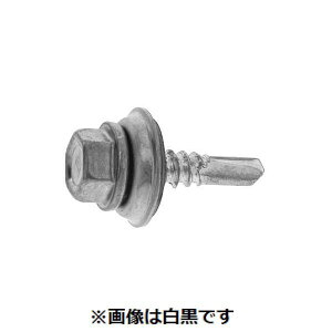 ylzszyF500zSUNCO 4547809537505 y500z  sE[J[s OjN MBXRbceNX 5 X 19