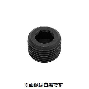 ylzszyF50zSUNCO 4547809833287 y50z  sE[J[s vO   PP3 1h