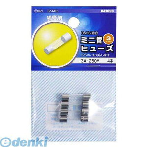 I[d@ 04-1628 ~jJ 3A-250V 041628 OHM