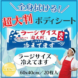 4589596693453 超大判 クールタオル ラージサイズ冷えてます 約600×400mm 20枚入【キャンセル不可】