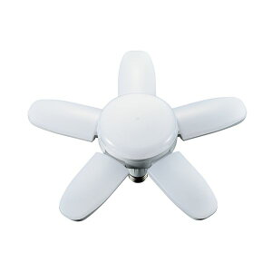 V TAKAGI LL45 BLACK LED瓔PROp ֋