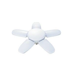 V TAKAGI LL90 BLACK LED瓔PROp ֋