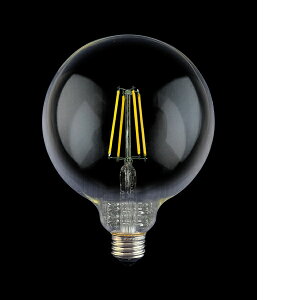 g[UC TZG125E26C-2-100/27 G125{[^tBgLEDdNA25W TZG125E26C2100/27