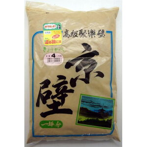 y12/5IIōő100|CgobNzƒ뉻w 4905488144047 炭  eʁF900g NOD4 ƒ뉻wH ؗp ڊy kateikagaku 炭ǋ