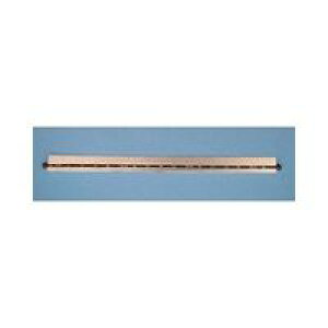 �V�������� 74940 �O�p��]�X�P�[�� 30cm 74940 SHINWA Rules