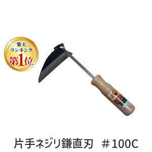 ���� ����s�E�����[�J�[�����s�� �y�y�V�����L���O1�ʊl���z���� 4934740010028 �Ў�l�W�������n ��100C�y�L�����Z���s�z