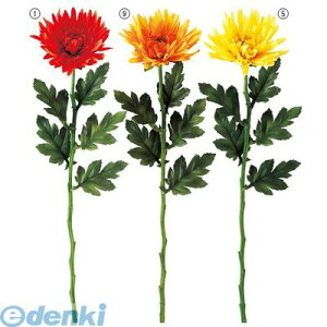 yԁEzyʌɂA؂̍ۂ͂z FLSP58755 R[fBA} CG[ FLSP5875