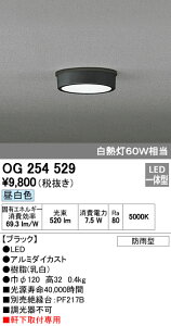 (LINE�N�[�|���L)�I�[�f���b�N ODELIC OG254529 LED�|�[�`���C�g �h�J�^ �����F �G�N�X�e���A ������t��p PLATE �Ɩ����