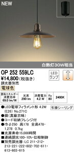 (LINE�N�[�|���L)�I�[�f���b�N ODELIC OP252559LC LED�y���_���g LED�y���_���g���C�g �d���F ����