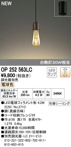 (LINE�N�[�|���L)�I�[�f���b�N ODELIC OP252563LC LED�y���_���g LED�y���_���g���C�g �d���F ���|�V�[�����O�^�C�v �Ɩ����