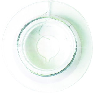 y[݌ɕizuv_Ch[ng 10155879 XC[ XeX 32×10m DAIDOHANT mm ngXC[