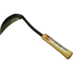 y[݌ɕizuv󍁍H  4960517155425 b抙 110|230 4960517155425 b抙 b芙 ۈ |  G 抙  |pi _