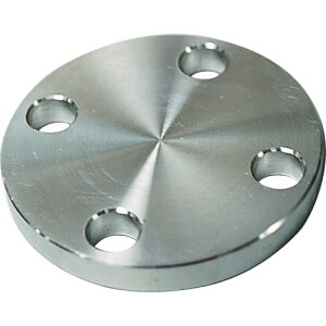 y[݌ɕizuvt[o SUS10KBLFF100A SUS304 10K ~tW 14100579 FLOBAL