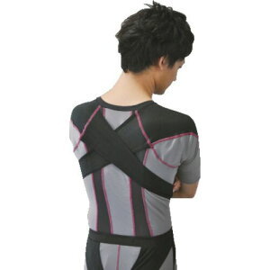 y[݌ɕizuvDAIYA 000-9598 ElDARWING|X@MTCY0009598