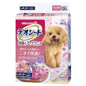 y11/25IIōő100|CgobNzjE`[ 4520699959398 fIV[g LtOX t[V{̍ M[ 120