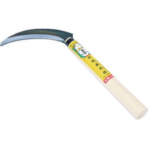 y[݌ɕizuvGS 140469  np ڐnt L{V K[fjO  | _ _ H KINBOSHI ̂芙  zs