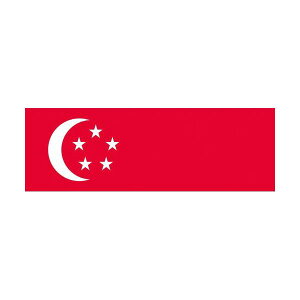 (LINE�N�[�|���L)�y���[�݌ɕi�z�u�����v�������� 416326 ����No�D1 70×105cm �V���K�|�|��