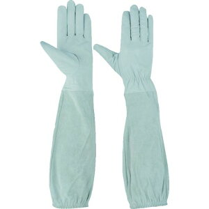 y[݌ɕizuv55698 I܂Œ`v M 3813301 z[P Yf HO-KEN CHUBU MTCY