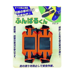 y[݌ɕizuvL{V 4537748710039 @pIvV ׂh~pӂ΂N 115×65×55 GS ׂh~pӂ΂N  ӂ΂邭 K[fjO |  _