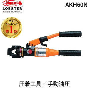 y[݌ɕizuvyyVLO1ʊlzuebNX LOBSTER AKH60N 蓮H gp͈14E22E38E60 蓮H Gr LOBTEX