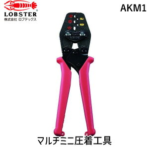 y11/25IIōő100|CgobNzy[݌ɕizuvuebNX AKM1 }`~jH ≏핢t[ڑq^[qEX[up Gr ≏핢t[