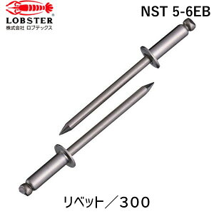 y12/5IIōő100|CgobNzy[݌ɕizuvuebNX LOBSTER NST 5-6EB uChxbg XeX^XeX 5|6 300{ GRBOX NST56EB XeX Gr u