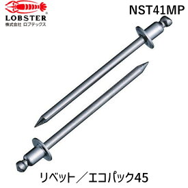 【あす楽対応】「直送」ロブテックス NST41MP ブラインドリベット ステンレス／ステンレス製 4－1 45本入 エコパック ブラインドリベット エビ 4-1 ステンレス エコパック2026172 202-6172 エコパック入り